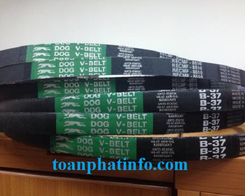 Dây Curoa Toàn Phát 